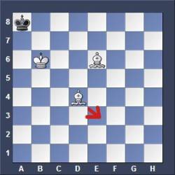 Chess Endgame King plus two Bishops versus King