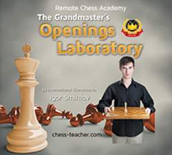 chess opening laboratory